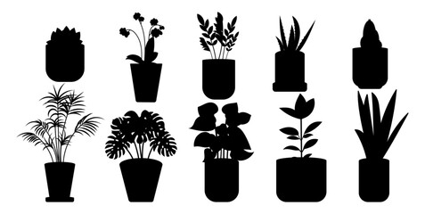 Silhouette house plants in pot set. Flower pots. Succulents, cacti, monstera, palm, anthurium, sansevieria, orchid, aloe vera and ficus. Vector illustration.