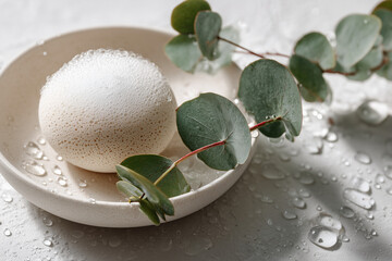 Close-up of moistened natural konjac sponge with foam and eucalyptus on white dish