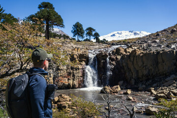 Man stands admiring Cascada del Gigante waterfall surrounded by Araucaria trees. Caviahue, Neuquen,...