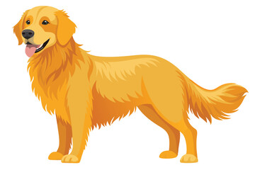 Golden Retriever Illustration Depicting Canine Breed with Distinctive Golden Coat Gentle Expression and Anatomical Accuracy Showcasing Breed Characteristics