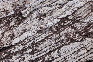 Obraz premium 岩石の表面