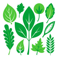 seamless pattern with green leaves