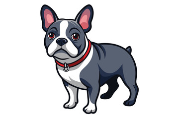 A Charming Cartoon Boston Terrier with Red Collar Stands Tall on White Background Pet Animal Mascot Design
