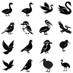 Fototapeta premium A collection of flying bird silhouettes against a vibrant sky