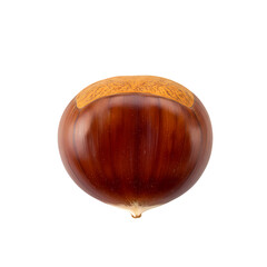 Roasted Chestnut A Detailed Macro Photograph of Autumns Nutty Delight on transparent background