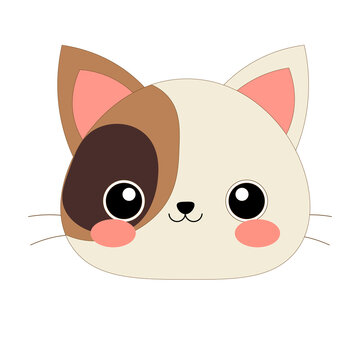 Cute Cat