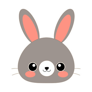 Cute Rabbit