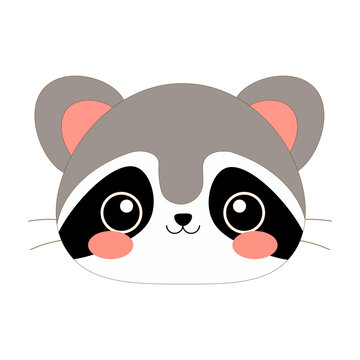 Cute Raccoon