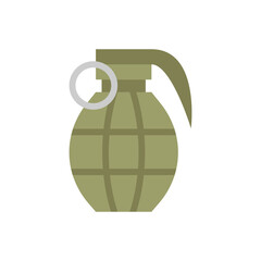 Vector illustration of a Grenade in flat style isolated in white background
