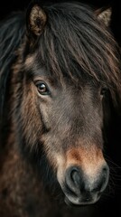Fototapeta premium Close-up of a majestic horse with flowing mane, showcasing its expressive eye and gentle demeanor in a serene setting