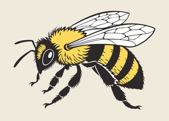 Highly Detailed Realistic Bee Vector Illustration – Close-Up of Flying Insect with Wings, Antennae, and Fuzzy Body for Nature, Science, and Pollination-Themed Designs