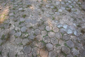 Weathered hexagonal paving stones with spontaneous plant growth surface