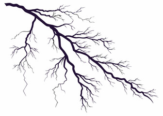 Fototapeta premium Detailed silhouette of a bare tree branch with intricate twigs and branches vector illustration