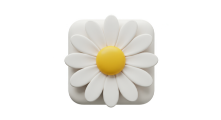 3D Icon of a White Daisy Flower Isolated on Transparent Background