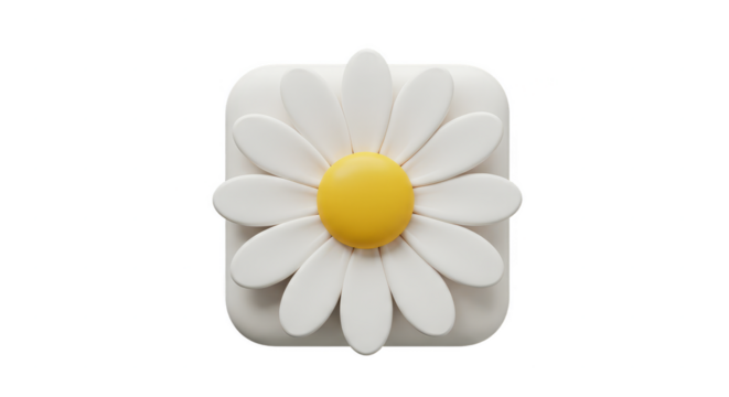 3D Icon of a White Daisy Flower Isolated on Transparent Background