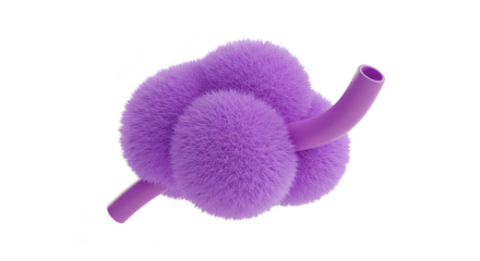 3d Illustration of Purple Fuzzy Intestine Organ on Transparent Background