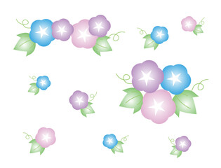 あさがお　イラスト