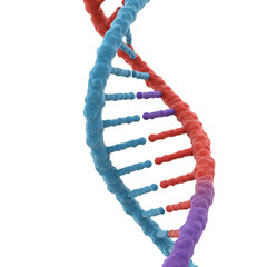 3D Rendered DNA Helix Model Structure With Transparent Background