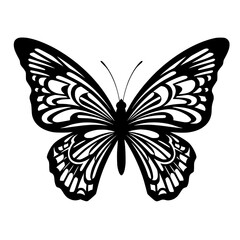 Intricate Butterfly Design