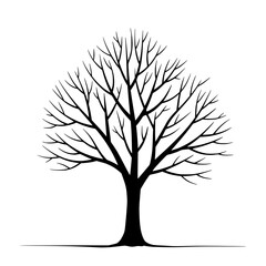 Bare Tree Silhouette