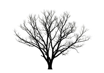 Abstract Tree Fractal Art in Black Background Digital Illustration