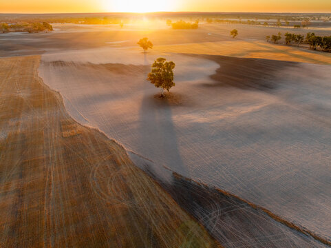 Aerial view of sunset over burnt farmland with scorched gum trees