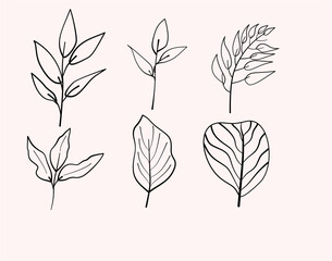 Set of Line Leaves Tropis, Summer