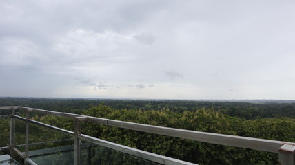 Natural Landscape of Indonesia. Green trees in forest. Day time photo
