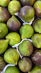 Fresh Green and Purple Figs Close-up Background