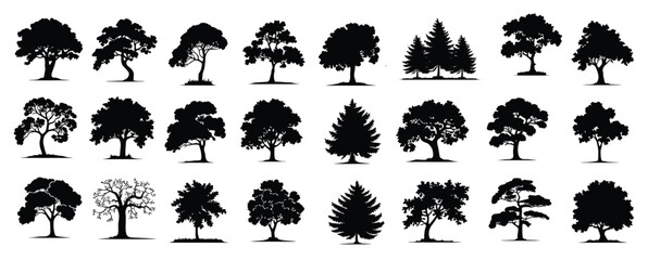collection set different kind trees icons symbol silhouette vector design