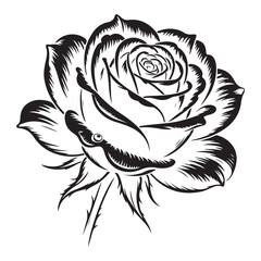 Single rose illustration simple and romantic floral artwork