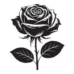 Single rose illustration simple and romantic floral artwork