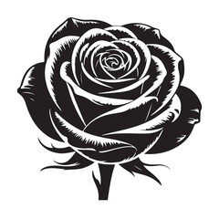 Vector rose flower illustration classic floral decoration