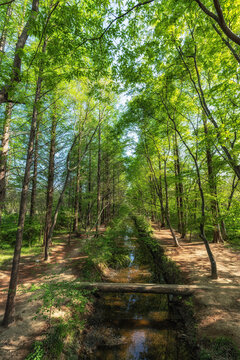 Gyeongbuk Millennium Forest Garden