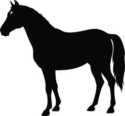 Obraz premium Horse silhouette icon vector illustration 
