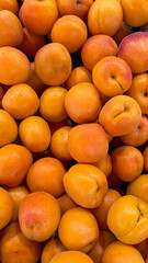 Fresh Ripe Apricots Close-up Texture Background