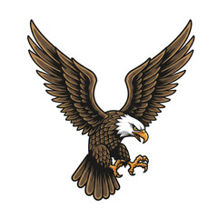 Illustration of an Eagle Brown Bird with Wings and White Head Design