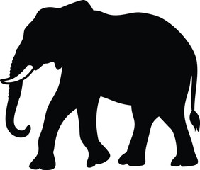 Fototapeta premium A full body silhouette of an elephant walking pose, vector illustration