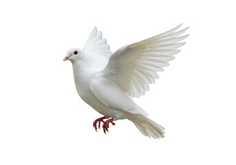 Naklejka premium Illustration Of Flying Dove Bird With Open Wings Peacefully In White