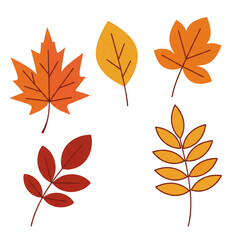 Illustration of Colorful Autumn Leaves Collection in Transparent Background