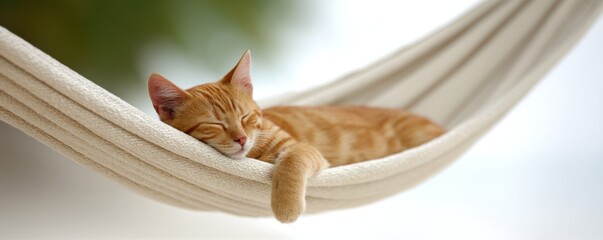 Orange tabby cat sleeping peacefully on cream-colored hammock outdoors natural light relaxed calm cozy comfortable feline pet resting