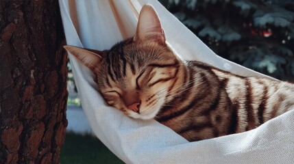 Sleeping striped cat resting peacefully in white hammock outdoors near tree trunk on sunny day with soft fabric and cozy relaxed position captured in natural light