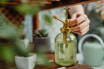 Two female friends or sisters taking care of plants with water can and mister	
