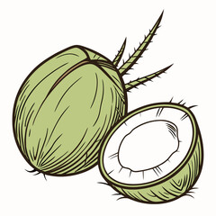 green coconut 3D vector  white background