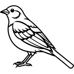 Line Art of Yellowhammer in Monochrome Style