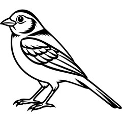 Line Art of Yellowhammer in Monochrome Style