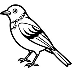 Line Art of Yellowhammer in Monochrome Style