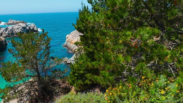 Point Lobos State Natural Reserve in California with turquoise waters, rugged cliffs, and vibrant coastal scenery. Serene ocean view on a sunny day in the Big Sur region, ideal for travel themes