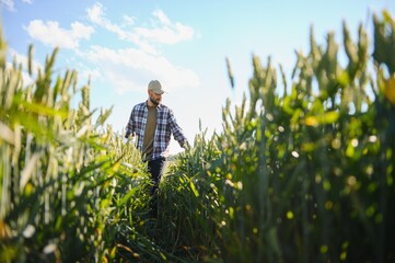 Fototapeta premium Portrait of farmer standing in wheat field
