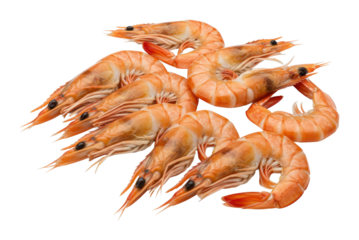 Shrimp preparation process coastal kitchen food photography bright setting close-up view culinary art